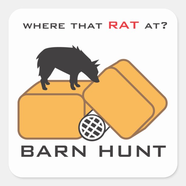 Sticker Carré Barn Hunt Schipperke (Devant)