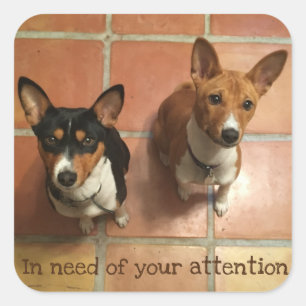 Sticker Carré Basenji dans le besoin