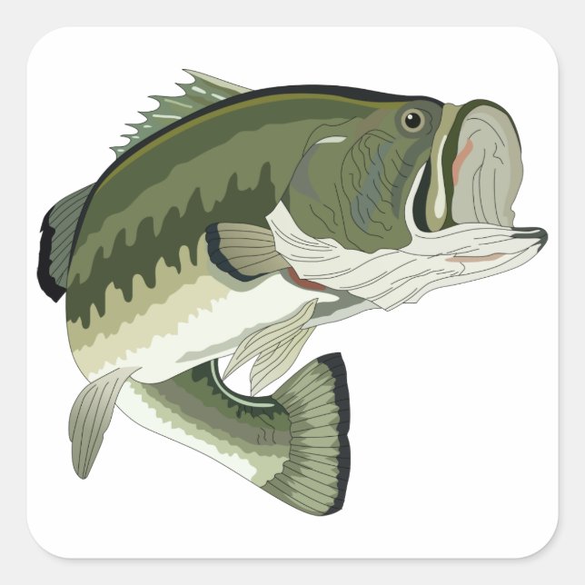 STICKER CARRÉ BASES LARGEMOUTH (Devant)