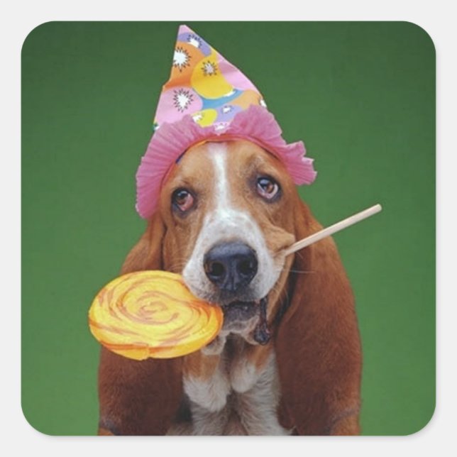 Sticker Carré Basset Hound Anniversaire Lollipop (Devant)