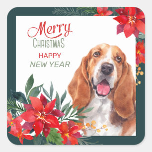 Sticker Carré Basset Hound Poinsettia frontière Noël
