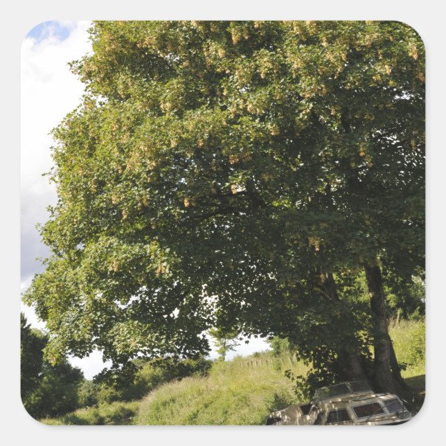 Sticker Carré Bateaux à canaux (Devant)