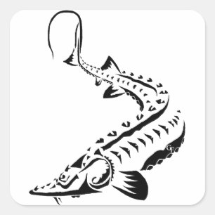 STICKER CARRÉ BÂTIMENTS - STURGEON - TRIBAL SHOVELNOSE