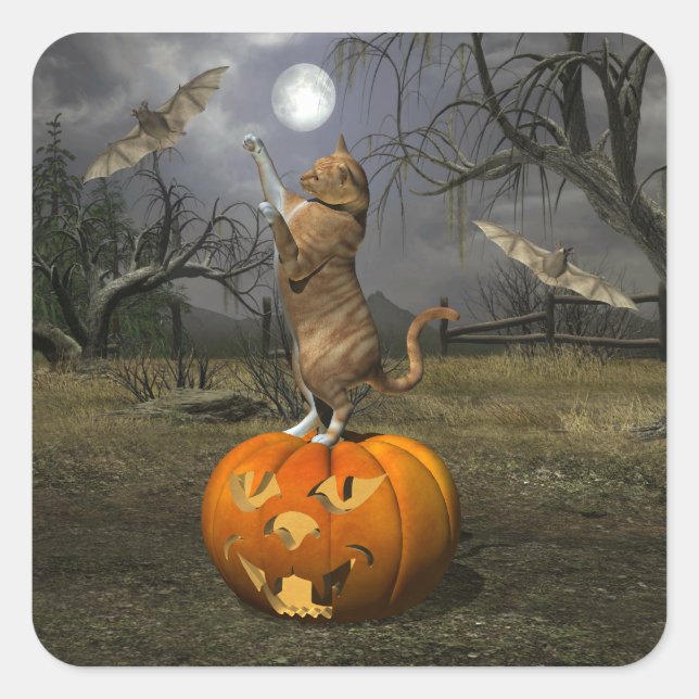Sticker Carré Bats battables Halloween Orange Chat (Devant)
