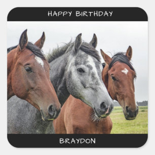 Sticker Carré Beau Anniversaire du Cheval