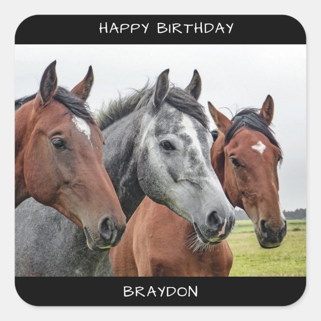 Sticker Carré Beau Anniversaire du Cheval (Devant)