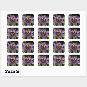Sticker Carré Beauté énigmatique : Fleur de passion violette