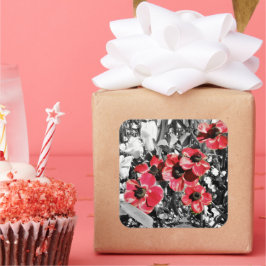 Sticker Carré Beauté sélective - Fleurs d'anémones