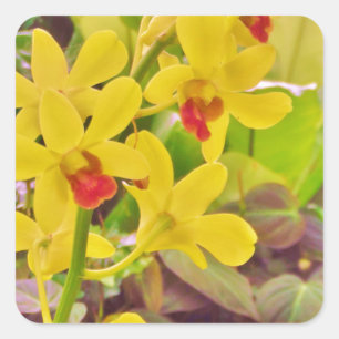 Sticker Carré Beautiful Yellow autumn