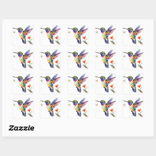 Sticker Carré Beaux et amusants colibris pour les amateurs d'ois