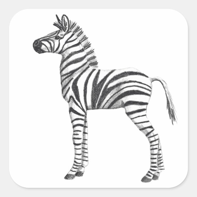 Sticker Carré Bébé mignon Zebra Dessin (Devant)
