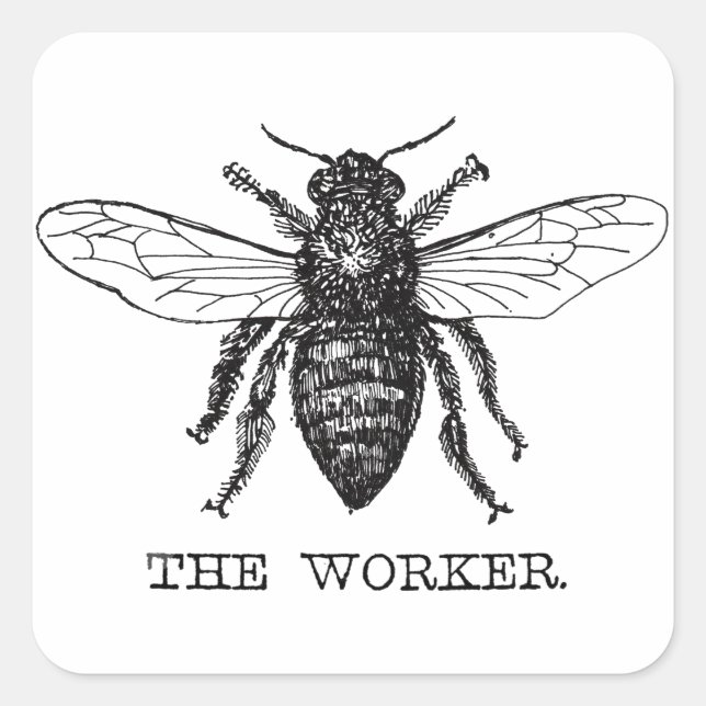 Sticker Carré Bee Worker Honey Black Bumblebee (Devant)