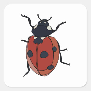 Sticker Carré Beetles Insectes Ladybug Beetles