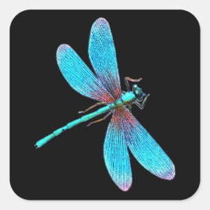 Sticker Carré Belle libellule bleue lumineuse de turquoise