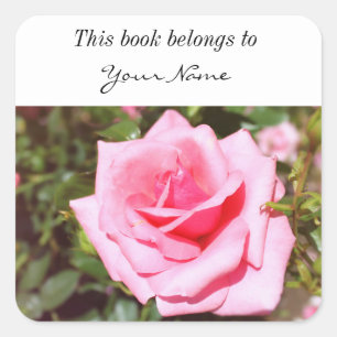Sticker Carré belle rose rose fleur aux coeurs doux