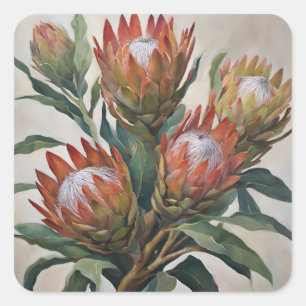 Sticker Carré Belles fleurs de Protea d'Afrique du Sud