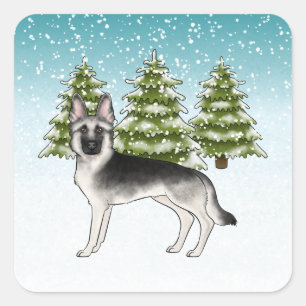 Sticker Carré Berger Allemand Silver Sable Forêt d'Hiver Bleue