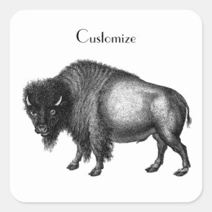 Sticker Carré Big Bison Buffalo Thunder-Cove