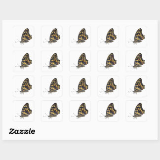 Sticker Carré  Big butterfly,