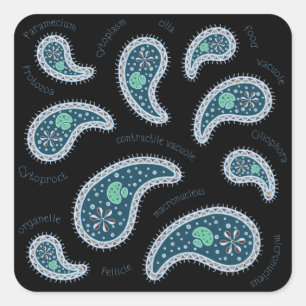 Sticker Carré Biologie des paramécies de Paisley Science Microbe