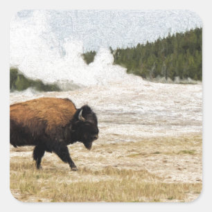 Sticker Carré Bison et Vieux fidèles