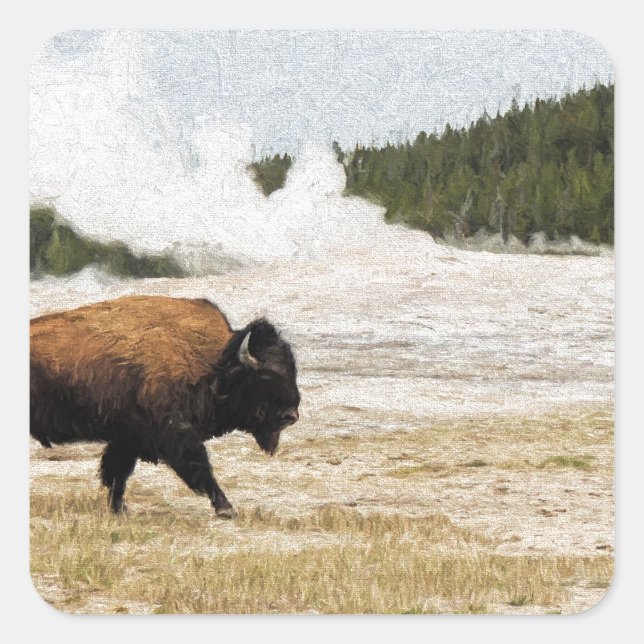 Sticker Carré Bison et Vieux fidèles (Devant)
