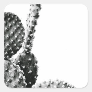 Sticker Carré Black and White Cactus Noir et Blanc