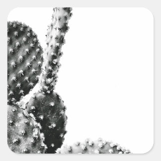 Sticker Carré Black and White Cactus Noir et Blanc