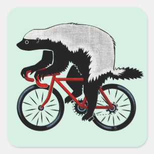 Sticker Carré Blaireau de miel de bicyclette