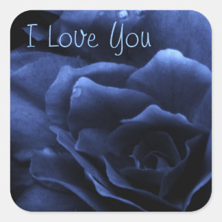 Sticker Carré Bleu royal Gros plan d'une double Begonia