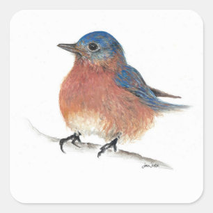 Sticker Carré Bleue