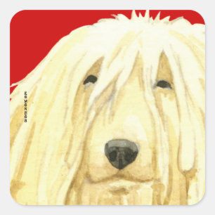 Sticker Carré Bloc couleur Komondor