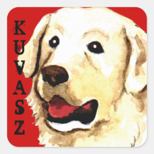 Sticker Carré Bloc couleur Kuvasz