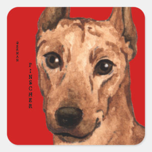 Sticker Carré Bloc de couleur Pinscher allemand