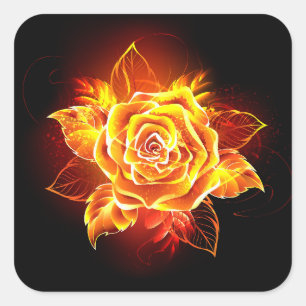 Sticker Carré Blooming Fire Rose