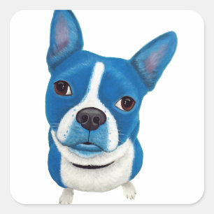 Sticker Carré Blue Boston Terrier