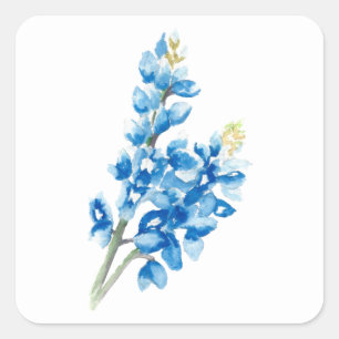Sticker Carré Bluebonnet 4