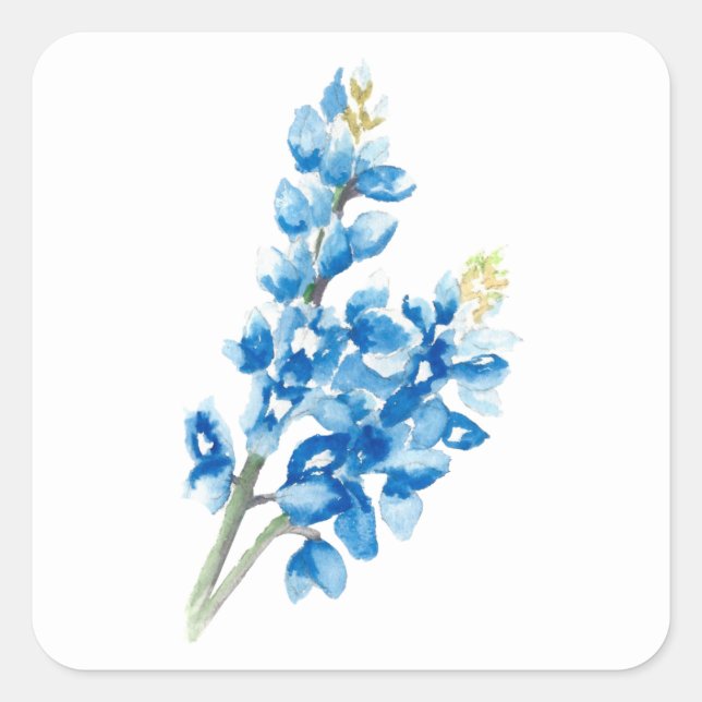 Sticker Carré Bluebonnet 4 (Devant)