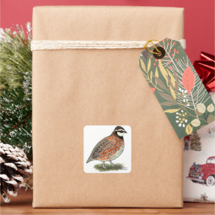 Sticker Carré Bobwhite Quail