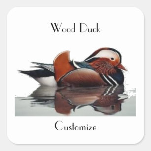 Sticker Carré Bois Canard Thunder_Cove 