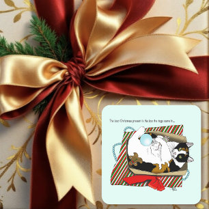 Sticker Carré Boîte cadeau drôle de chat calico de Noël