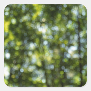 Sticker Carré Bokeh au printemps