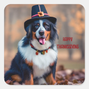 Sticker Carré Bon thanksgiving bernois pèlerin de chiens de mont