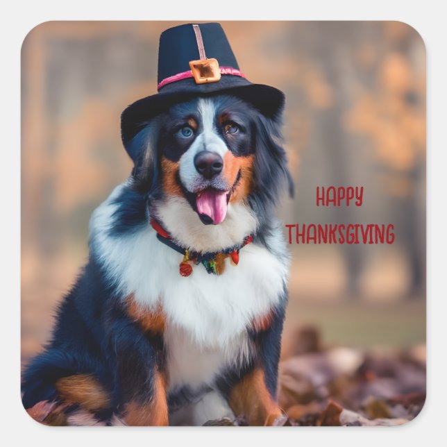 Sticker Carré Bon thanksgiving bernois pèlerin de chiens de mont (Devant)
