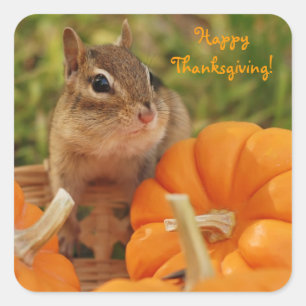 Sticker Carré Bon thanksgiving peu d'autocollant de tamia