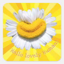 "Bonjour bel humain !" Chamomile Smile Sunburst