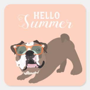 Sticker Carré Bonjour été anglais Bulldog Orange