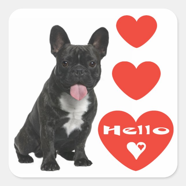 Sticker Carré Bonjour Français Chien Chien Chien Chien Chien Chi (Devant)