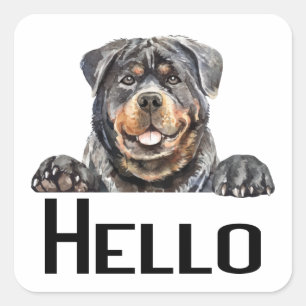 Sticker Carré  Bonjour Rotie Chien Chien Chien Aquarelle Rottwei