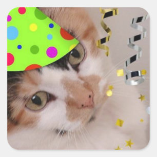 Sticker Carré Bonne fête d'anniversaire Calico Cat
